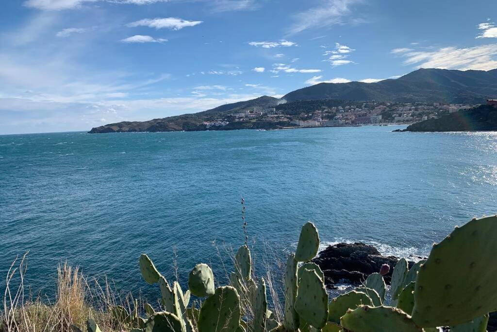 Attique A Banyuls - Vue Mer Et Montagne Dış mekan fotoğraf